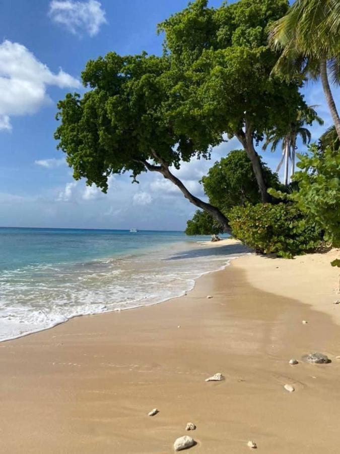 Westmoreland Hills - Mount Standfast - St James - Full Gym Membership Saint James Buitenkant foto