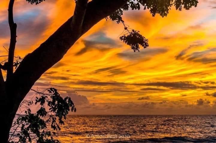 Westmoreland Hills - Mount Standfast - St James - Full Gym Membership Saint James Buitenkant foto