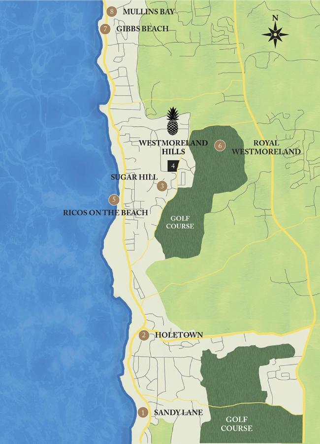 Westmoreland Hills - Mount Standfast - St James - Full Gym Membership Saint James Buitenkant foto