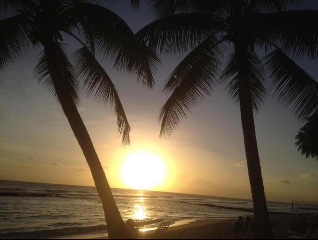 Westmoreland Hills - Mount Standfast - St James - Full Gym Membership Saint James Buitenkant foto