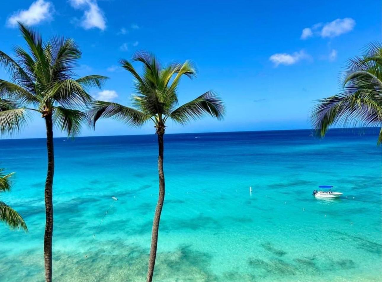 Westmoreland Hills - Mount Standfast - St James - Full Gym Membership Saint James Buitenkant foto